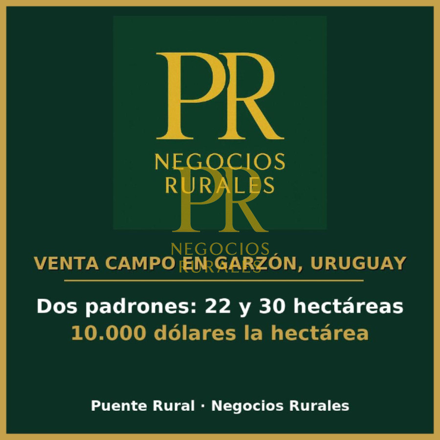 Campo Ref.10 - 22 hectáreas Garzón - Paso la Cantera