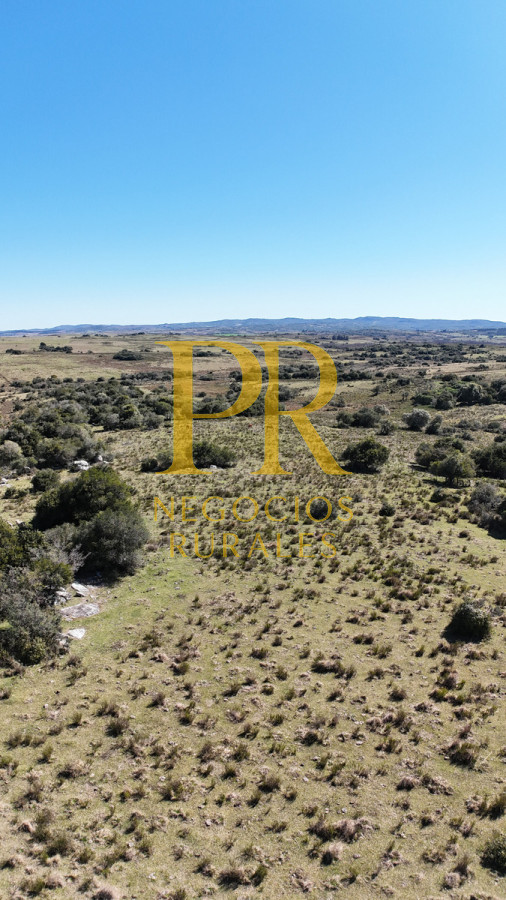 Campo Ref.10 - 22 hectáreas Garzón - Paso la Cantera