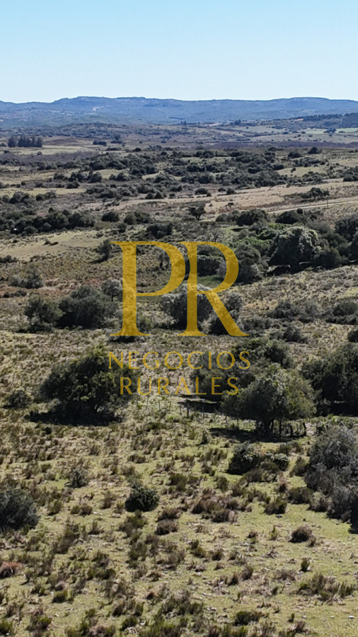 Campo Ref.10 - 22 hectáreas Garzón - Paso la Cantera