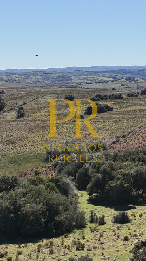 Campo Ref.10 - 22 hectáreas Garzón - Paso la Cantera