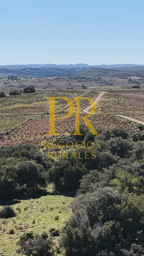 Campo Ref.10 - 22 hectáreas Garzón - Paso la Cantera