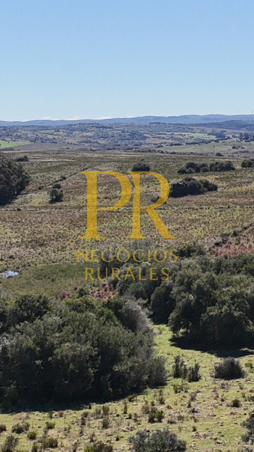 Campo Ref.10 - 22 hectáreas Garzón - Paso la Cantera