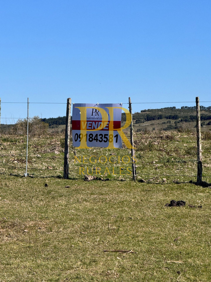 Campo Ref.10 - 22 hectáreas Garzón - Paso la Cantera