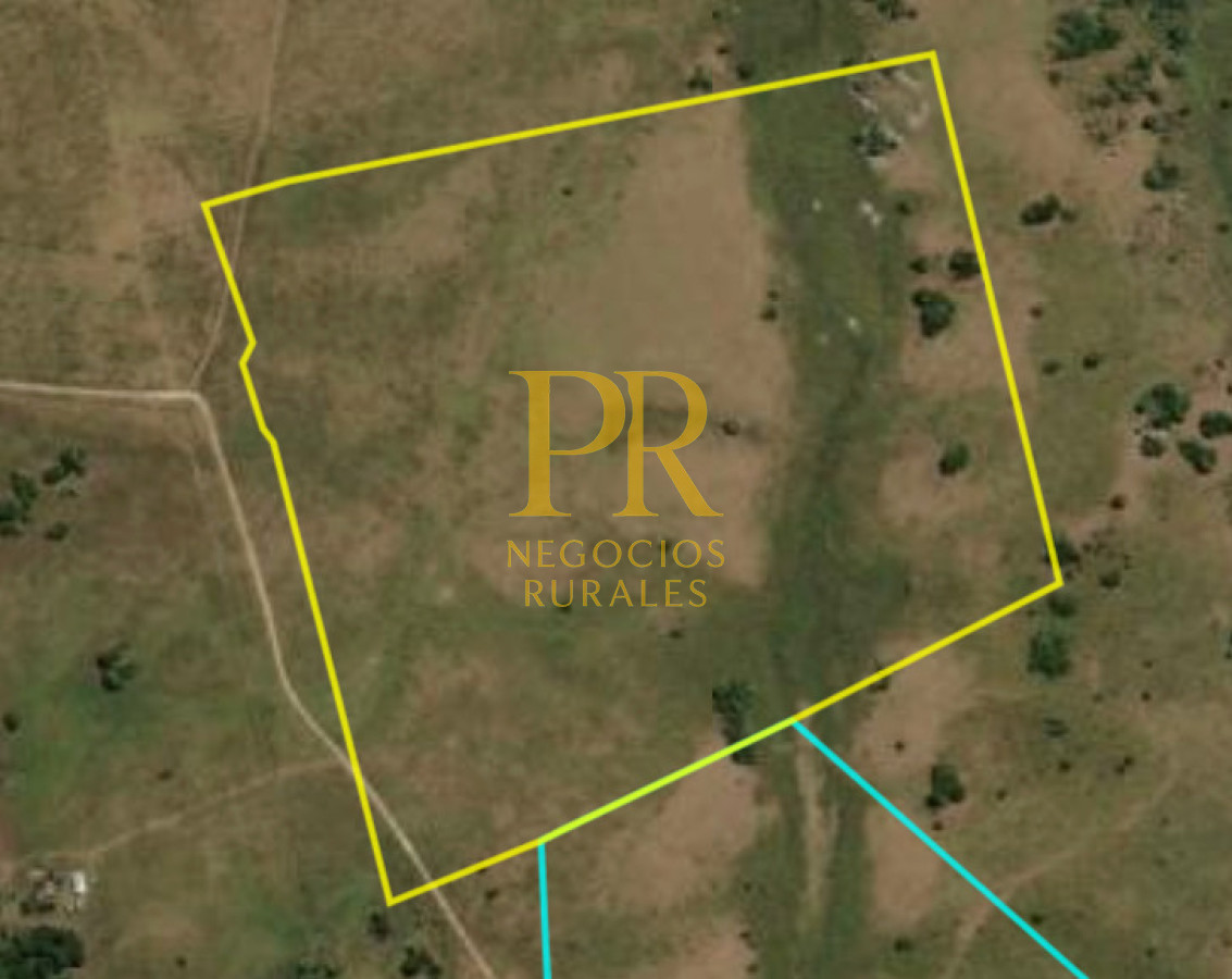 Campo Ref.10 - 22 hectáreas Garzón - Paso la Cantera