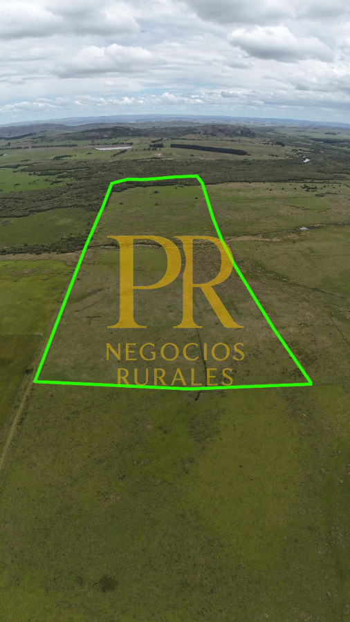 Campo Ref.11 - Campo 39 hectáreas Mariscala