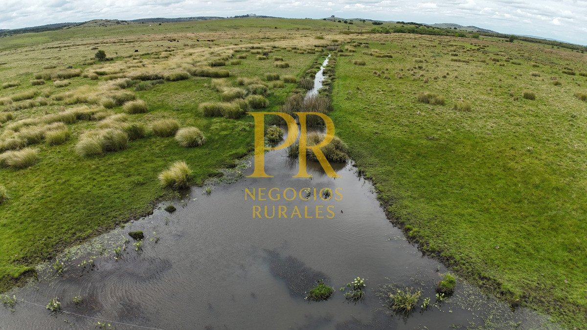 Campo Ref.11 - Campo 39 hectáreas Mariscala