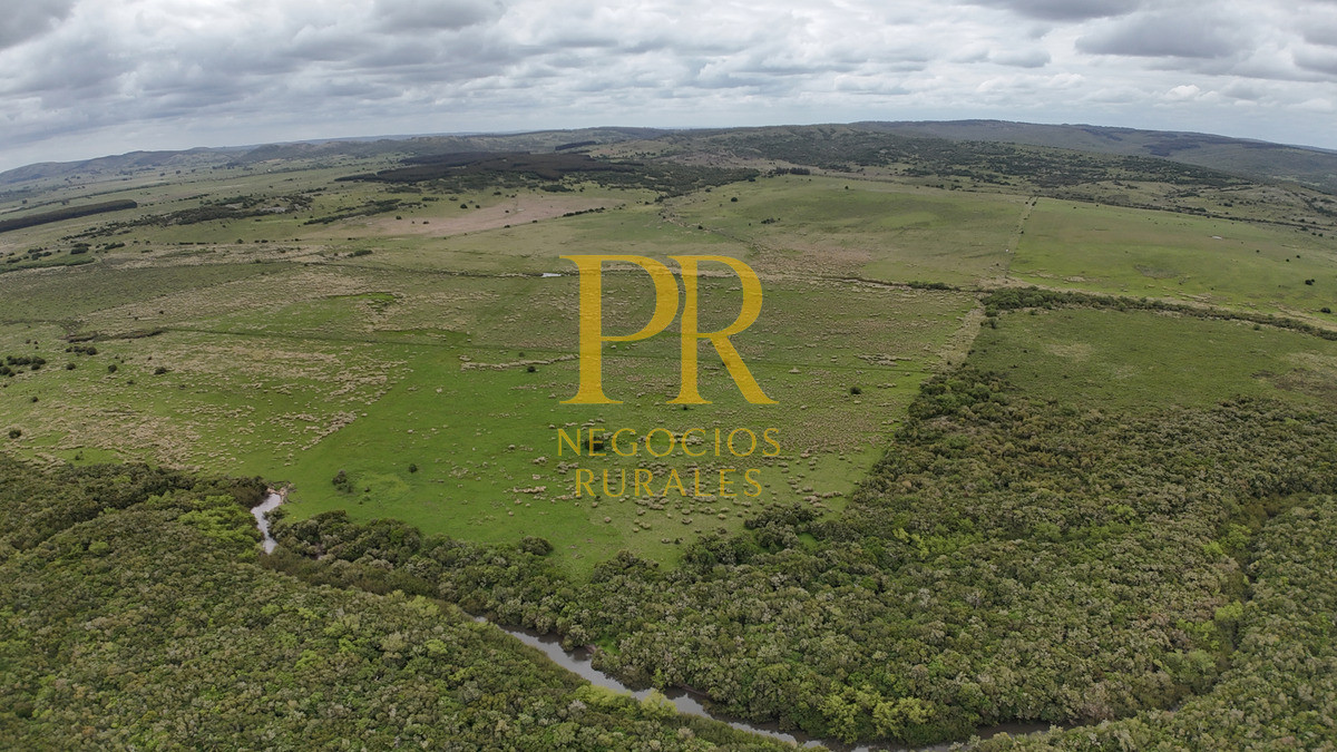 Campo Ref.11 - Campo 39 hectáreas Mariscala