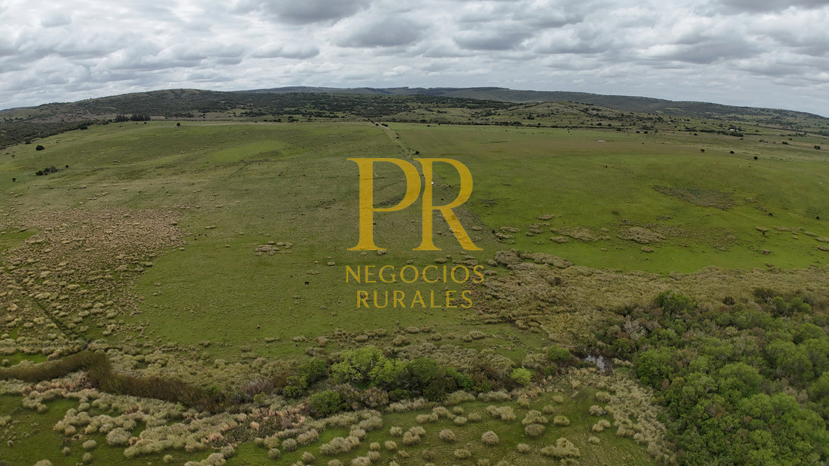 Campo Ref.11 - Campo 39 hectáreas Mariscala