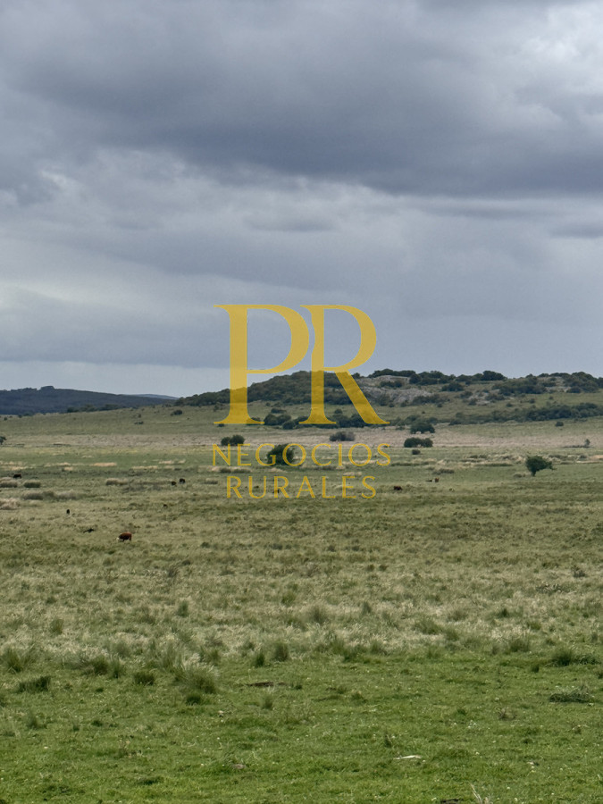 Campo Ref.11 - Campo 39 hectáreas Mariscala