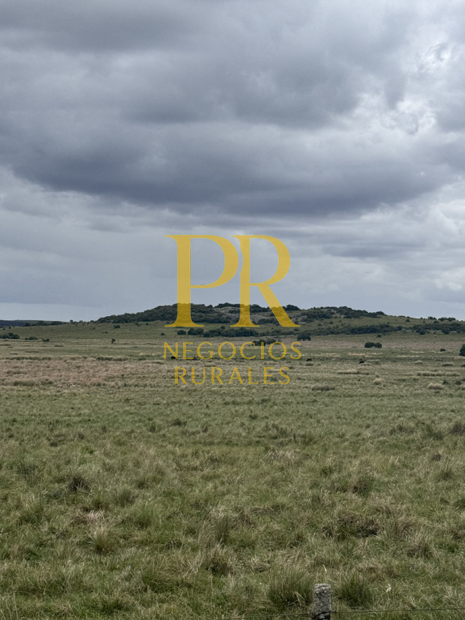 Campo Ref.11 - Campo 39 hectáreas Mariscala