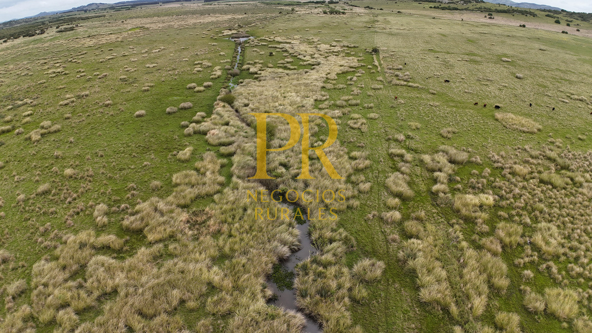 Campo Ref.11 - Campo 39 hectáreas Mariscala