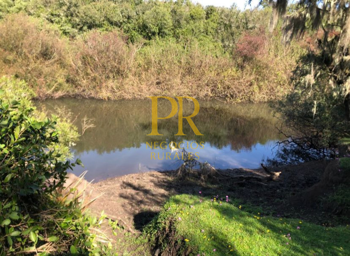 Campo Ref.11 - Campo 39 hectáreas Mariscala