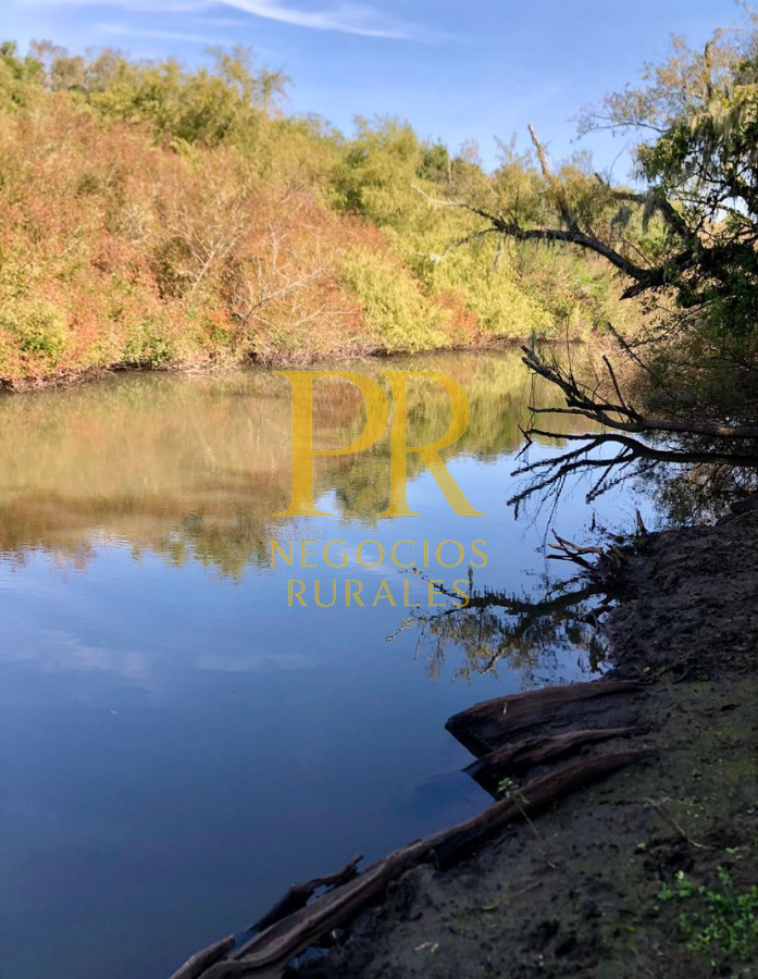 Campo Ref.11 - Campo 39 hectáreas Mariscala