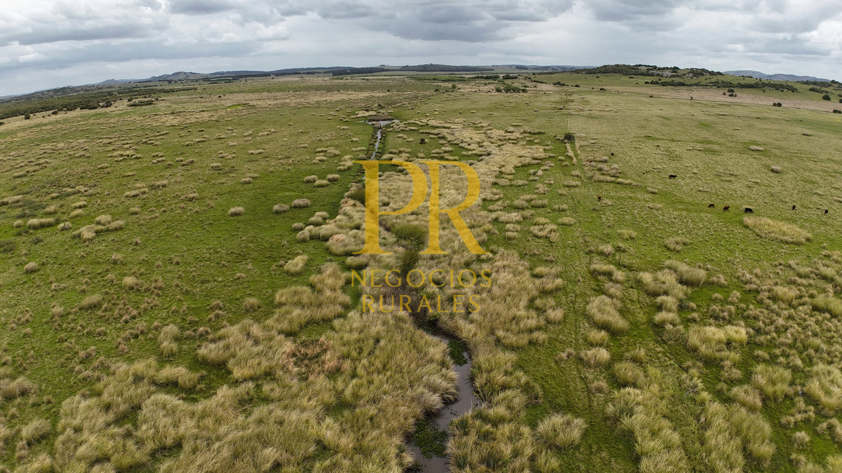 Campo Ref.11 - Campo 39 hectáreas Mariscala