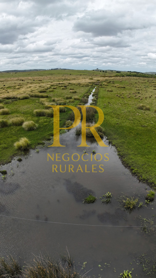 Campo Ref.11 - Campo 39 hectáreas Mariscala