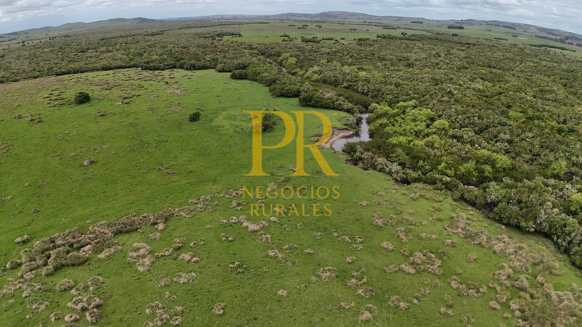 Campo Ref.11 - Campo 39 hectáreas Mariscala