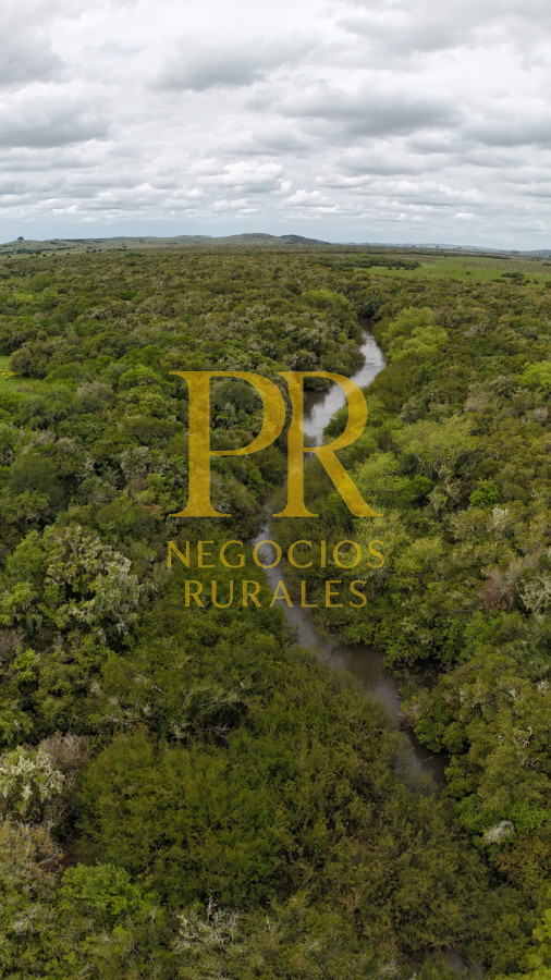 Campo Ref.11 - Campo 39 hectáreas Mariscala