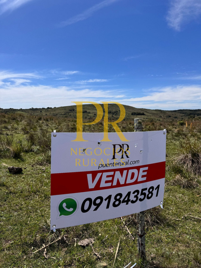 Campo Ref.19 - Campo En Rocha - Ganadero Turístico O Para Fraccionar