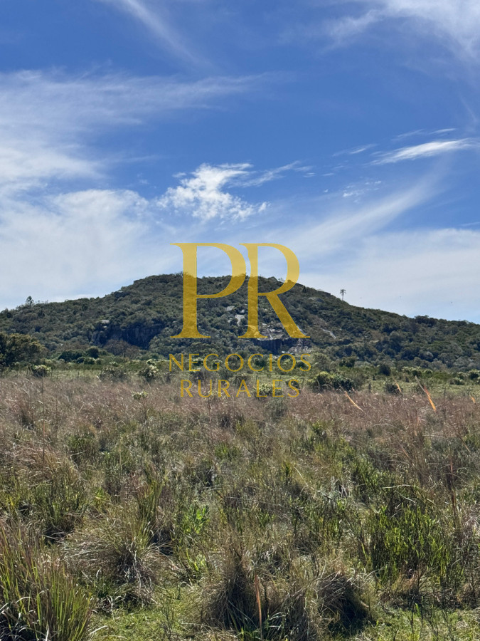 Campo Ref.19 - Campo En Rocha - Ganadero Turístico O Para Fraccionar