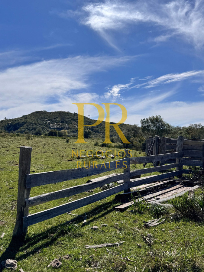 Campo Ref.19 - Campo En Rocha - Ganadero Turístico O Para Fraccionar