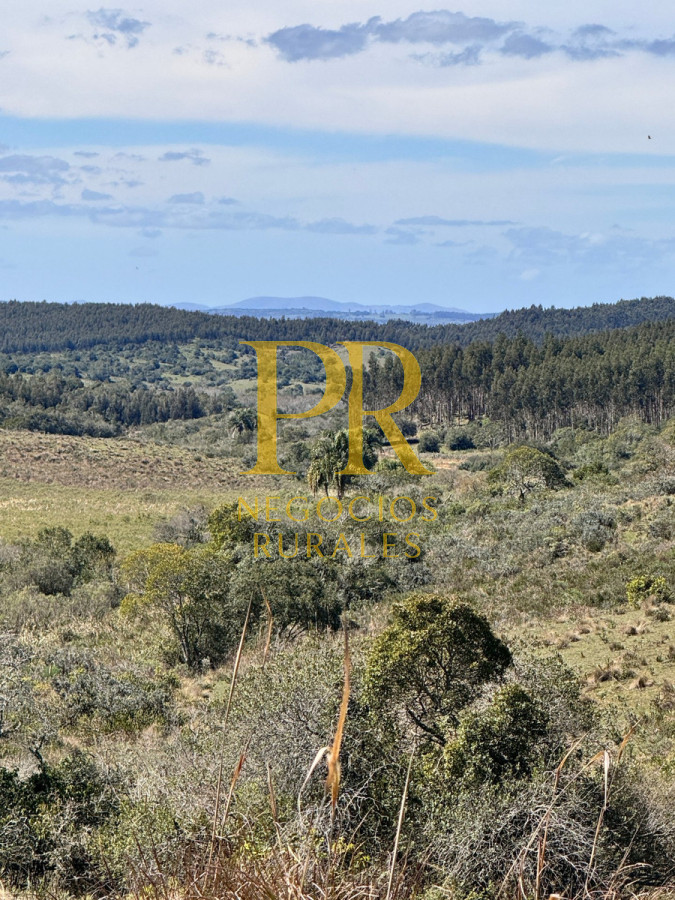 Campo Ref.19 - Campo En Rocha - Ganadero Turístico O Para Fraccionar