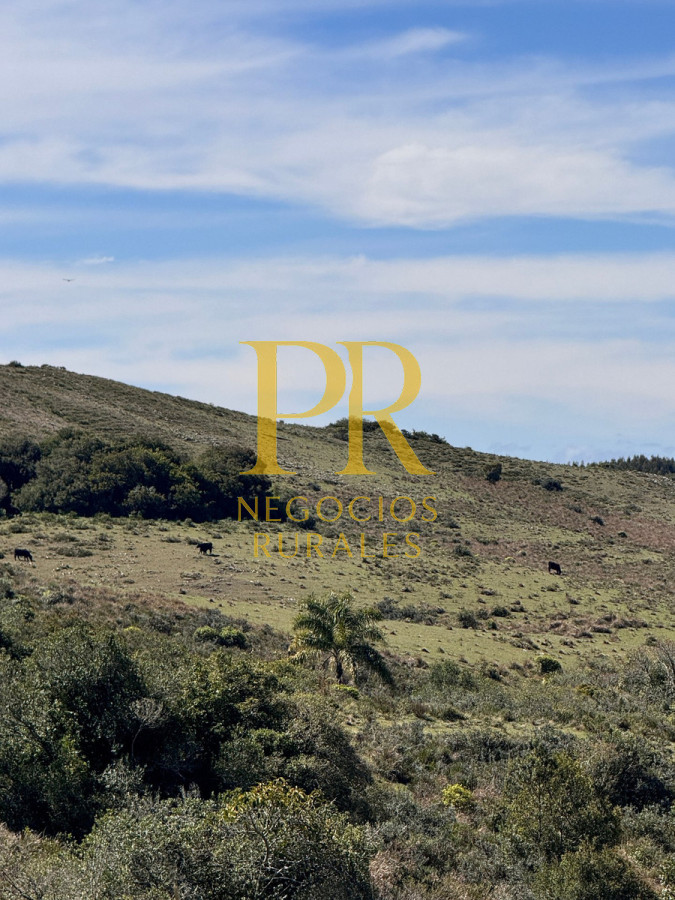 Campo Ref.19 - Campo En Rocha - Ganadero Turístico O Para Fraccionar