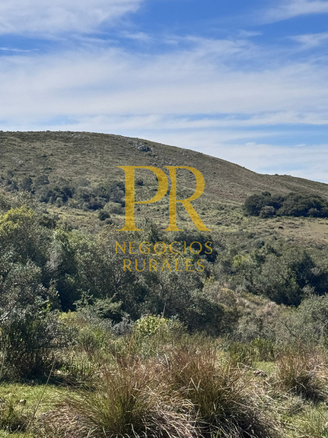 Campo Ref.19 - Campo En Rocha - Ganadero Turístico O Para Fraccionar