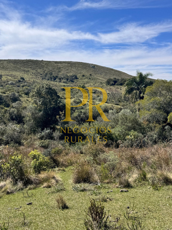 Campo Ref.19 - Campo En Rocha - Ganadero Turístico O Para Fraccionar