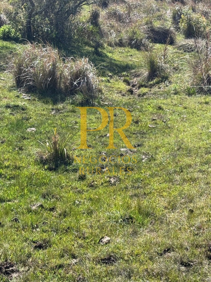 Campo Ref.19 - Campo En Rocha - Ganadero Turístico O Para Fraccionar