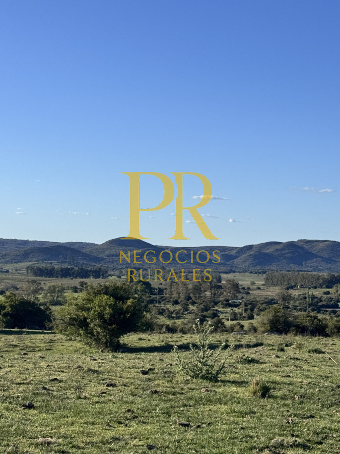 Campo Ref.24 - Chacra 8 hectáreas próximo Villa Serrana