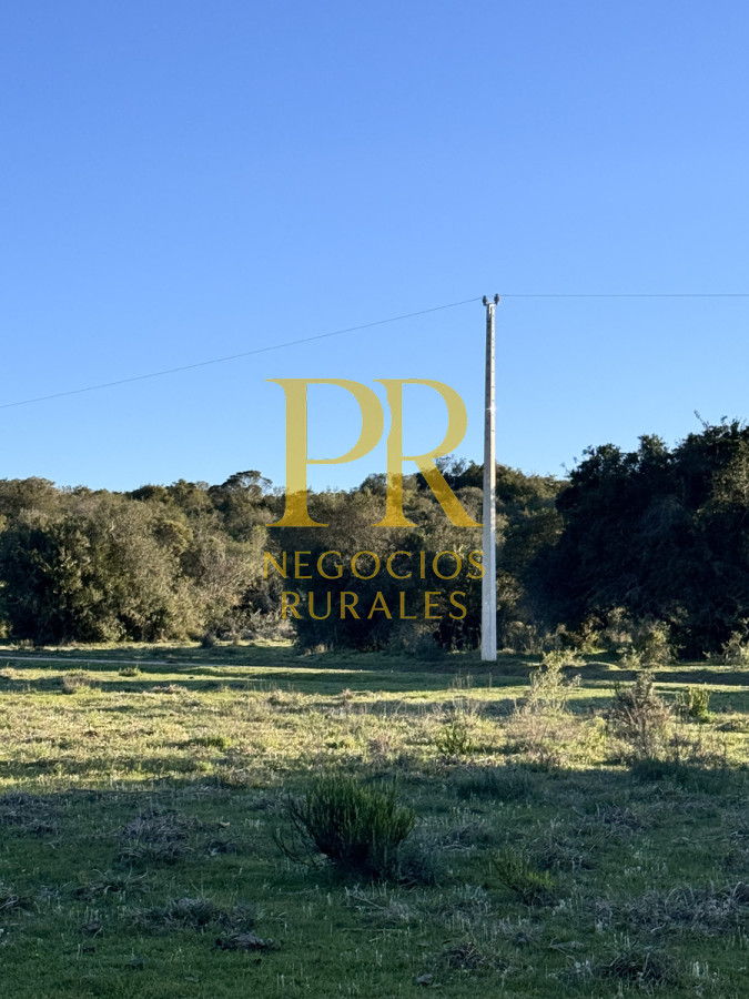 Campo Ref.24 - Chacra 8 hectáreas próximo Villa Serrana