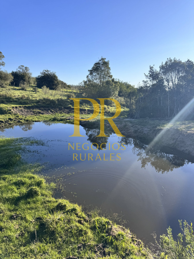 Campo Ref.24 - Chacra 8 hectáreas próximo Villa Serrana