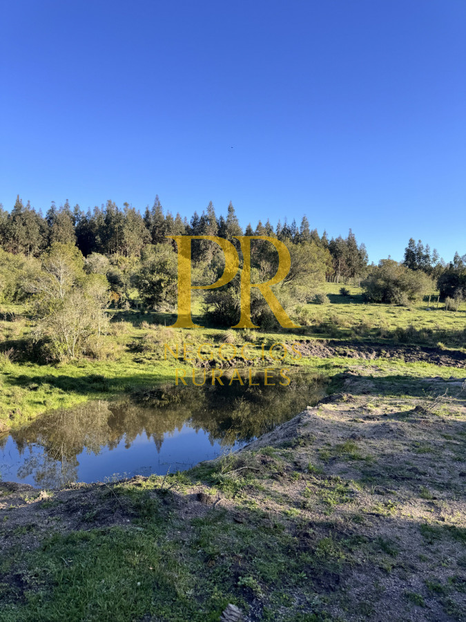 Campo Ref.24 - Chacra 8 hectáreas próximo Villa Serrana