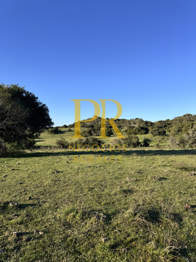 Campo Ref.24 - Chacra 8 hectáreas próximo Villa Serrana