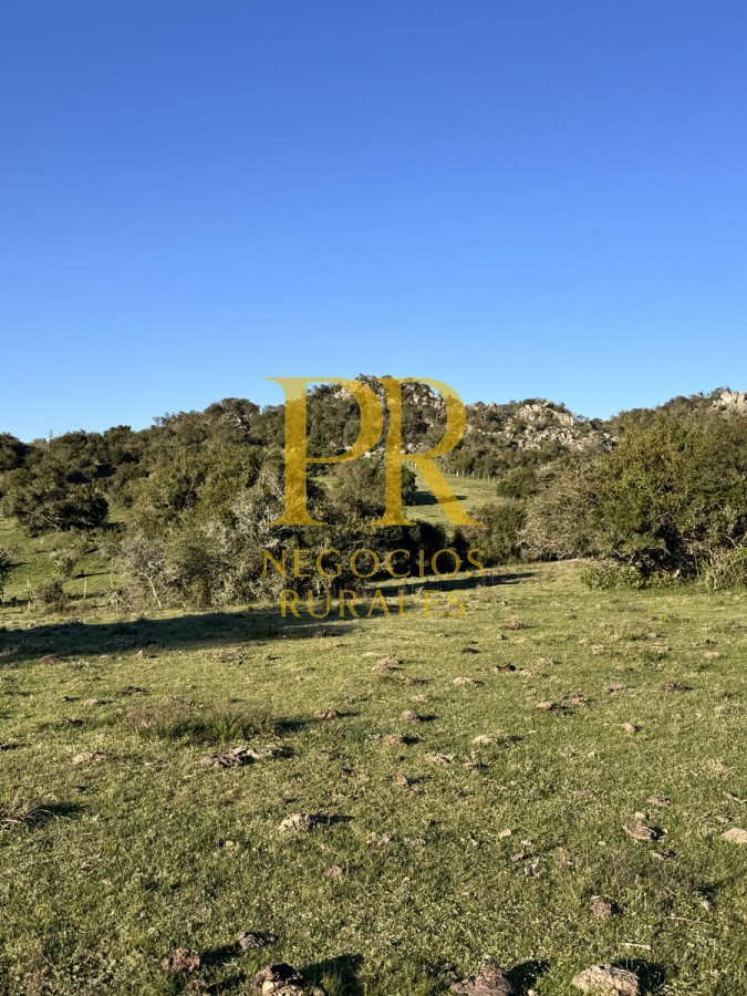 Campo Ref.24 - Chacra 8 hectáreas próximo Villa Serrana