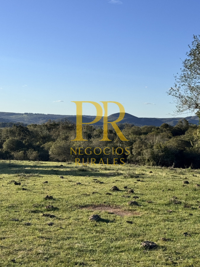 Campo Ref.24 - Chacra 8 hectáreas próximo Villa Serrana