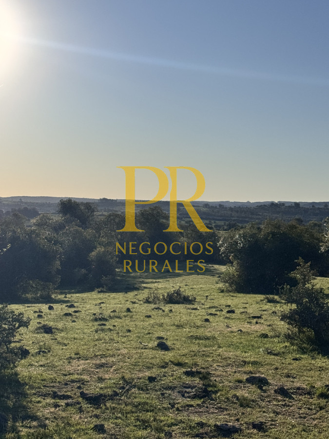 Campo Ref.24 - Chacra 8 hectáreas próximo Villa Serrana