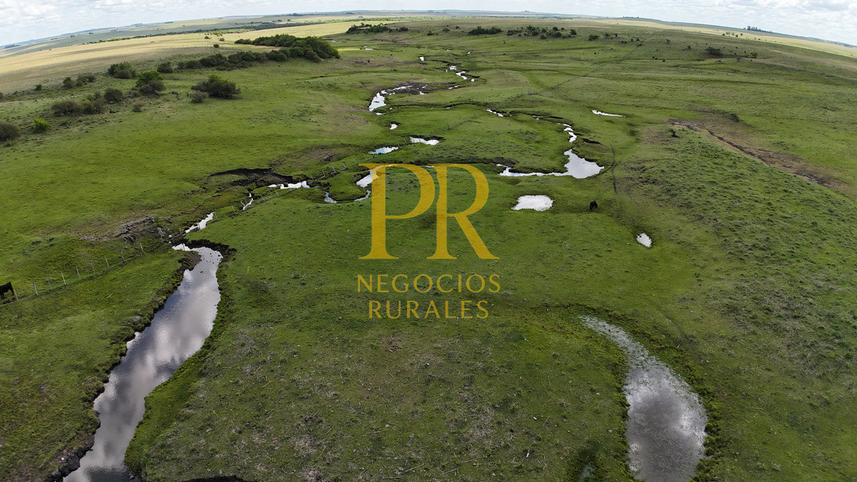 Campo Ref.26 - Campo Salto 550 hectáreas