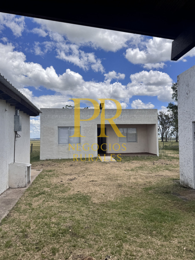 Campo Ref.26 - Campo Salto 550 hectáreas