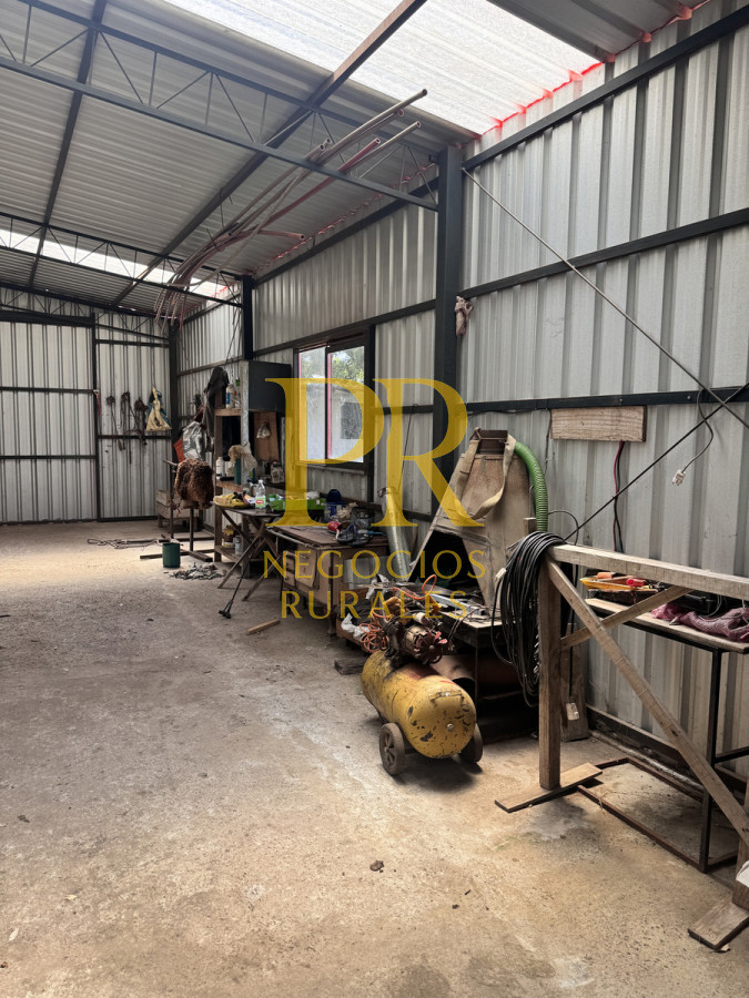 Campo Ref.26 - Campo Salto 550 hectáreas