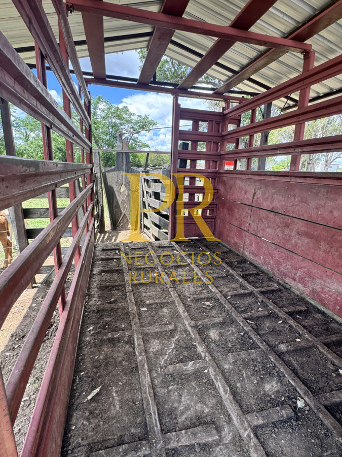 Campo Ref.26 - Campo Salto 550 hectáreas