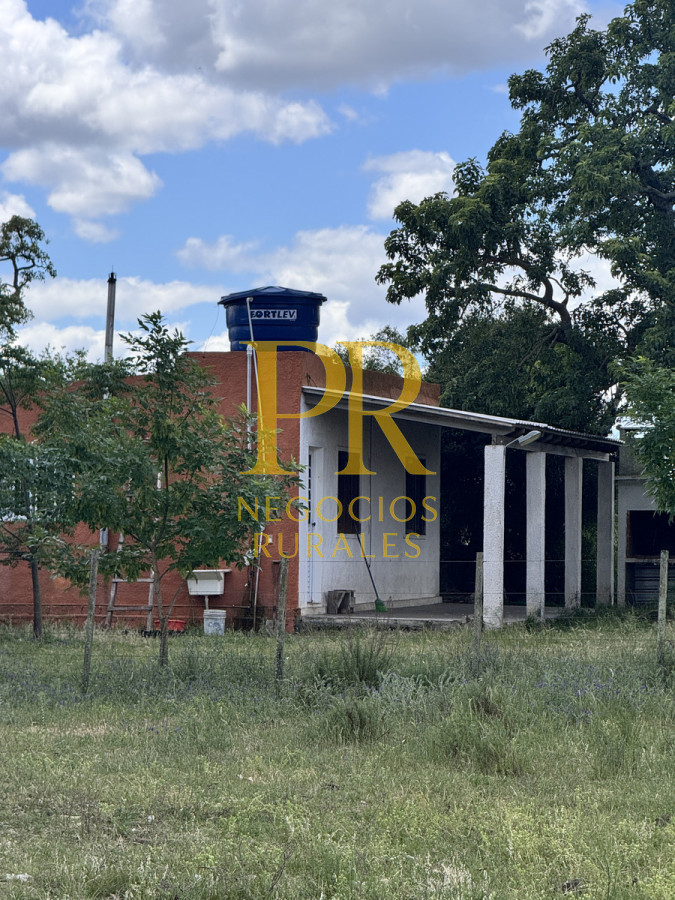 Campo Ref.26 - Campo Salto 550 hectáreas