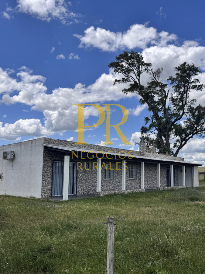 Campo Ref.26 - Campo Salto 550 hectáreas