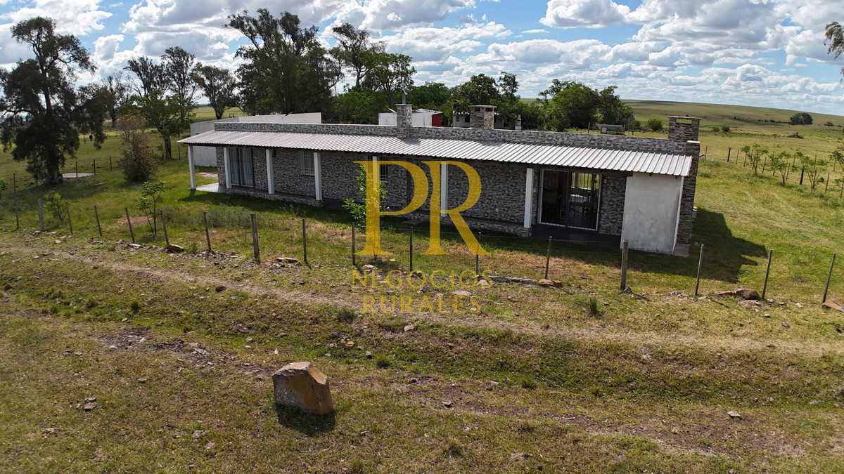 Campo Ref.26 - Campo Salto 550 hectáreas