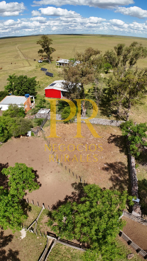 Campo Ref.26 - Campo Salto 550 hectáreas