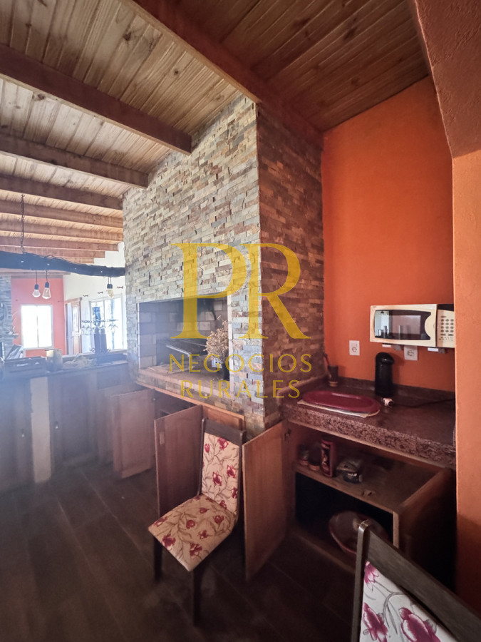 Campo Ref.26 - Campo Salto 550 hectáreas