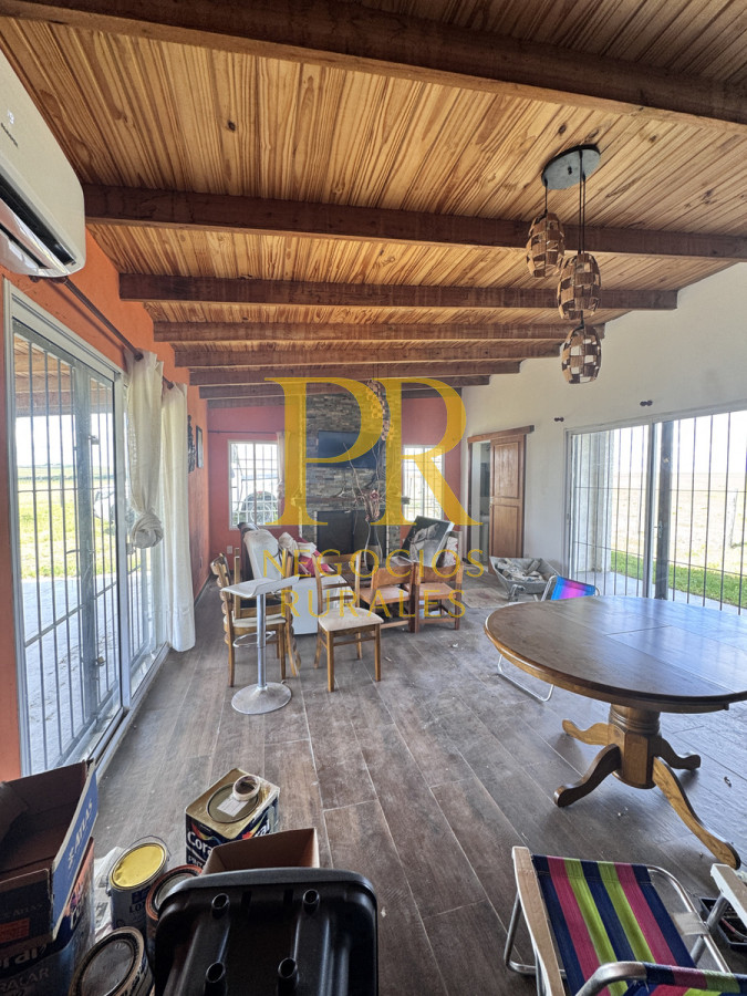 Campo Ref.26 - Campo Salto 550 hectáreas