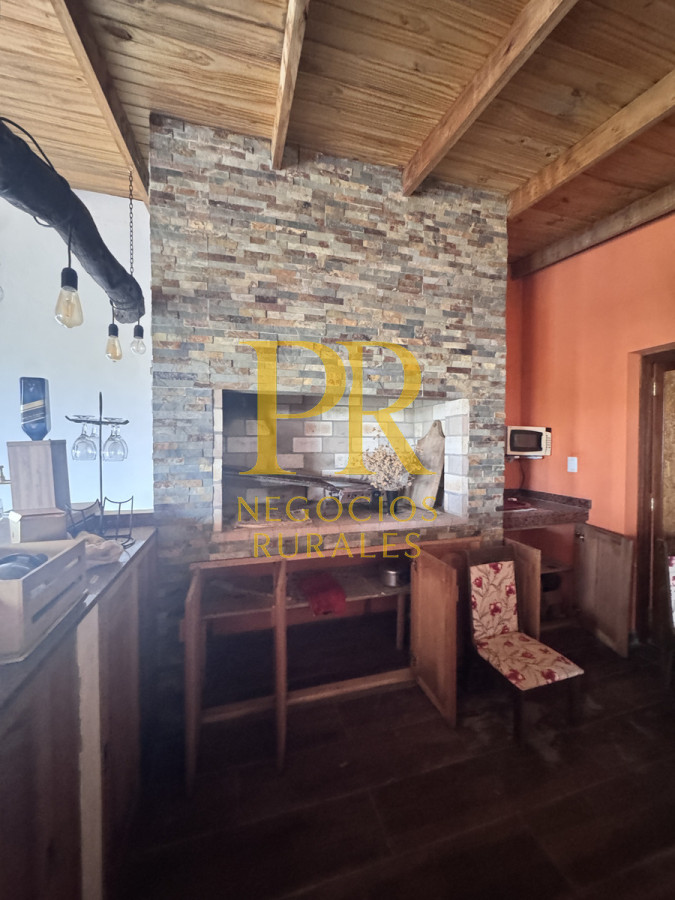 Campo Ref.26 - Campo Salto 550 hectáreas