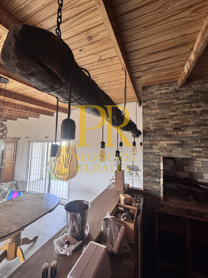 Campo Ref.26 - Campo Salto 550 hectáreas