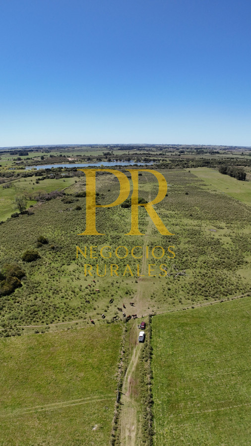 Campo Ref.2 - Campo en San Carlos, 